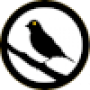 canary-logo-50x.png