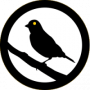 admin:services:canary-logo.png